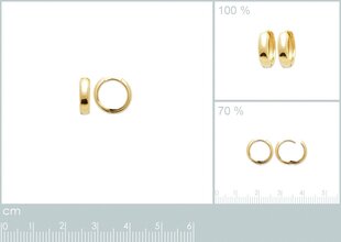 Серьги с золотым покрытием 750°, ⌀ 1.2 см, произведено во Франции цена и информация | Серьги | kaup24.ee