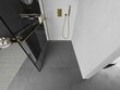 Walk-in dušisein Mexen Kioto+ riiuliga, kuldne/must muster, 70,80,90,100,110,120,130,140x200 cm цена и информация | Dušikabiinide uksed ja seinad | kaup24.ee