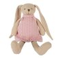 Pehme mänguasi Canpol Babies Pet Bunny Bunny, 35 cm, roosa hind ja info | Imikute mänguasjad | kaup24.ee