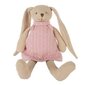 Pehme mänguasi Canpol Babies Pet Bunny Bunny, 35 cm, roosa цена и информация | Imikute mänguasjad | kaup24.ee