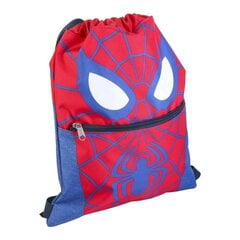 Laste seljakott Spiderman, 27 x 33 x 1 cm hind ja info | Koolikotid, sussikotid | kaup24.ee