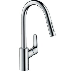 Смеситель для кухни Hansgrohe Focus M41 73880000 цена и информация | Смесители | kaup24.ee