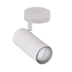 Candellux настенный светильник Colly цена и информация | Настенные светильники | kaup24.ee