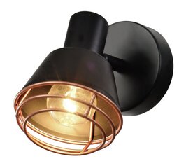Candellux Neria настенный светильник 91-81384 цена и информация | Настенные светильники | kaup24.ee