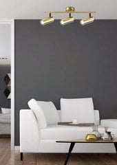 Laevalgusti Candellux Colly 93-01733 цена и информация | Потолочные светильники | kaup24.ee