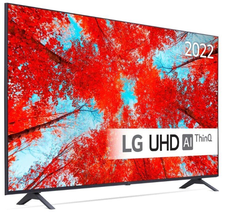 55" 4K LED TV LG 55UQ90003LA цена и информация | Telerid | kaup24.ee