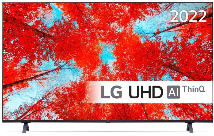 55" 4K LED TV LG 55UQ90003LA цена и информация | Telerid | kaup24.ee