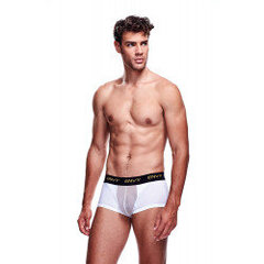 Envy - Mesh Short Boxer White S/M цена и информация | Сексуальное бельё для мужчин | kaup24.ee