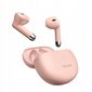 Mcdodo in-ear juhtmevabad kõrvaklapid koos BT 5 korpusega цена и информация | Kõrvaklapid | kaup24.ee