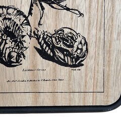 Картина DKD Home Decor Насекомые, черный металл, дерево МДФ (2 шт.) (20,5 x 1 x 32 см) цена и информация | Картины, живопись  | kaup24.ee