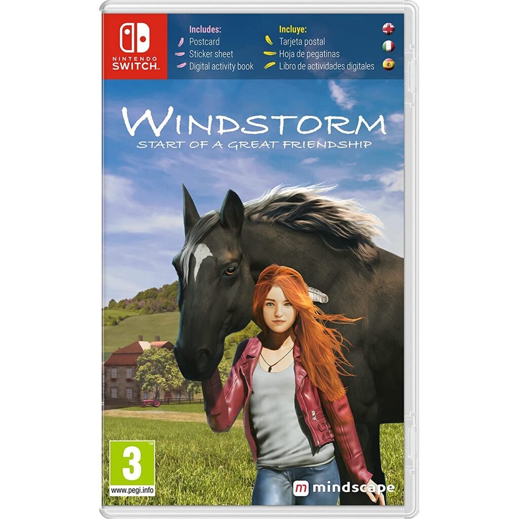 SWITCH Windstorm: Start of a Great Friendship цена и информация | Arvutimängud, konsoolimängud | kaup24.ee