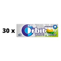 Жевательная резинка Orbit White Melon/Mint, OTC, 14 г x 30 шт. цена и информация | Для лакомств | kaup24.ee