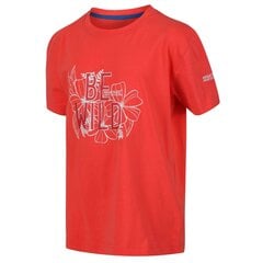 Детская хлопковая футболка Regatta Bosley III - оранжевый цена и информация | Рубашки для девочек | kaup24.ee