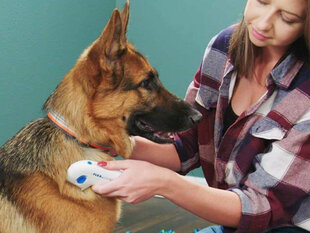 Электрическая расческа от блох для собак цена и информация | Средства по уходу за животными | kaup24.ee