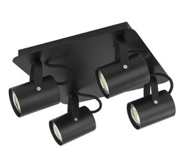 Потолочный светильник Kamera, 32610 цена и информация | Потолочные светильники | kaup24.ee