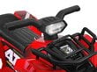 QUAD minimootorratas lastele, punane hind ja info | Laste elektriautod | kaup24.ee