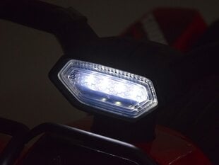 QUAD minimootorratas lastele, punane hind ja info | Laste elektriautod | kaup24.ee