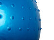 Võimlemispall, 70 cm, sinine hind ja info | Võimlemispallid | kaup24.ee