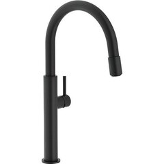 Смеситель 115.0545.135 для мойки Franke Pescara Swivel Spout Up цена и информация | Смесители | kaup24.ee