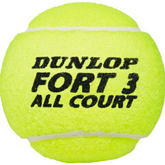 Tennisepallid Dunlop Fort All Court Tournament Select 4 tk цена и информация | Товары для большого тенниса | kaup24.ee