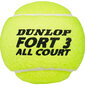 Tennisepallid Dunlop Fort All Court Tournament Select 4 tk hind ja info | Välitennise tooted | kaup24.ee