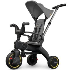 LIKI TRIKE kolmerattaline S1 Grey Hound цена и информация | Трехколесные велосипеды | kaup24.ee