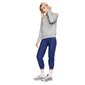 Naiste kampsun Nike Essentials Crew FLC hall BV4110 063 цена и информация | Naiste spordiriided | kaup24.ee