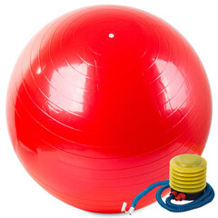 Võimlemispall 65 cm, punane цена и информация | Гимнастические мячи | kaup24.ee