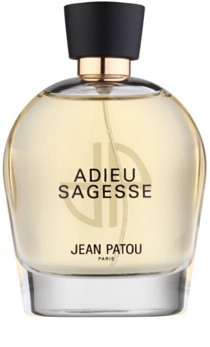 Eau de parfum Jean Patou Adieu Sagesse naistele 100 ml hind ja info | Naiste parfüümid | kaup24.ee