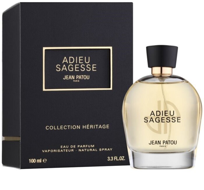 Eau de parfum Jean Patou Adieu Sagesse naistele 100 ml hind ja info | Naiste parfüümid | kaup24.ee