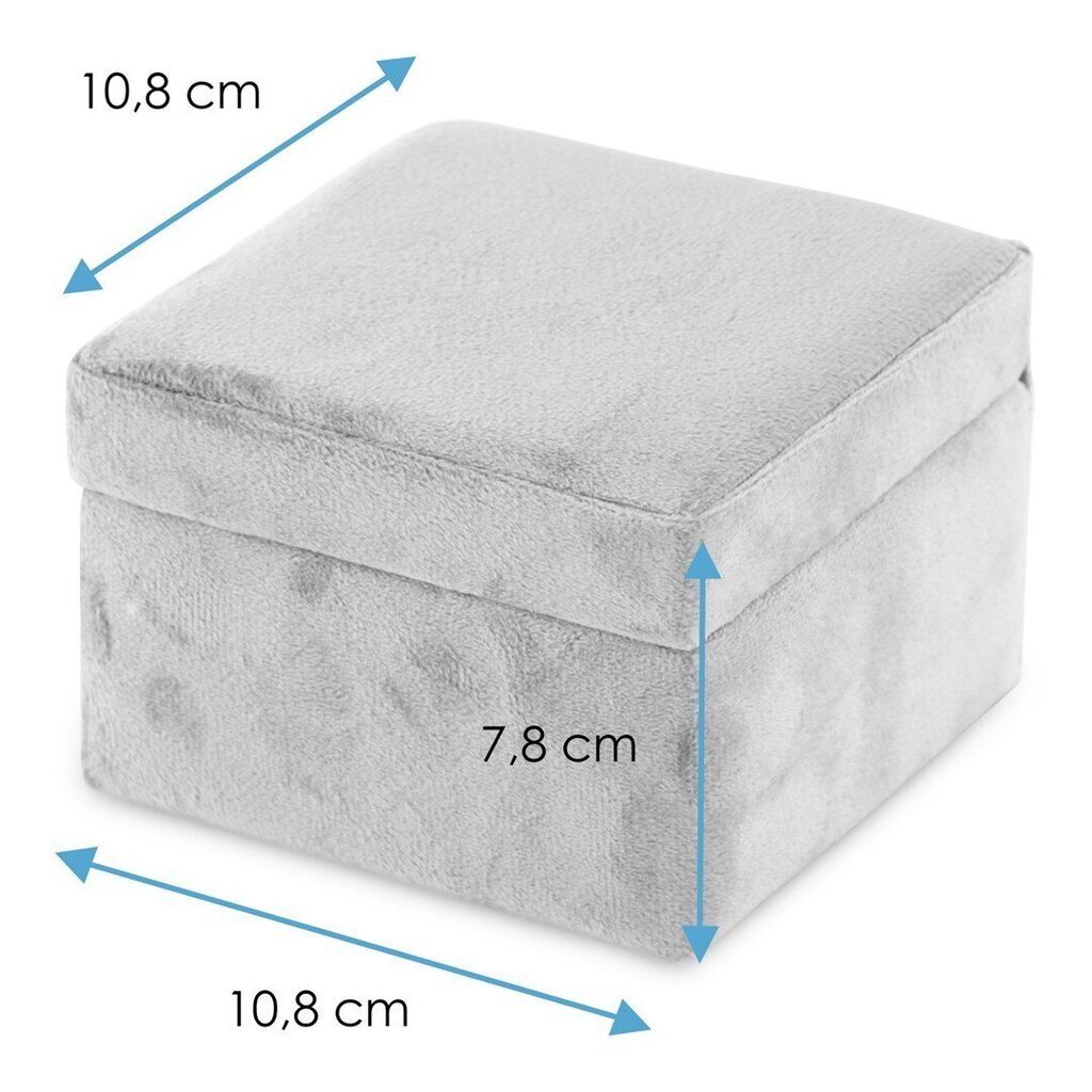 Ehtekarp AmeliaHome, 10,8 x 7,8 cm hind ja info | Sisustuselemendid | kaup24.ee