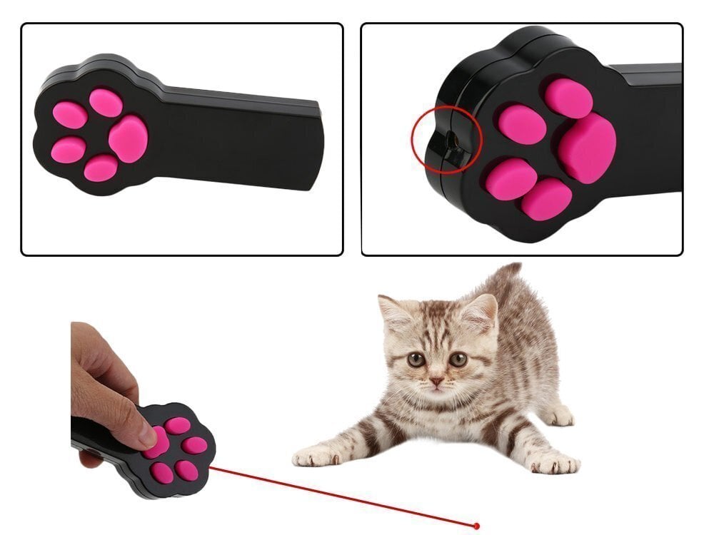 Laserpointer - kasside mänguasi hind ja info | Mänguasjad kassidele | kaup24.ee