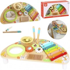 Multifunktsionaalne instrument - Tooky Toy hind ja info | Imikute mänguasjad | kaup24.ee