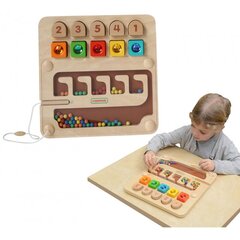 Деревянная игрушка для счета цена и информация | Развивающие игрушки и игры | kaup24.ee