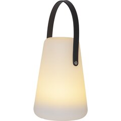 Лампа Lantern Linterna 803-54 цена и информация | Декорации | kaup24.ee