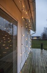 LED kardin 1,3x2 m, soe valge hind ja info | Jõulutuled | kaup24.ee