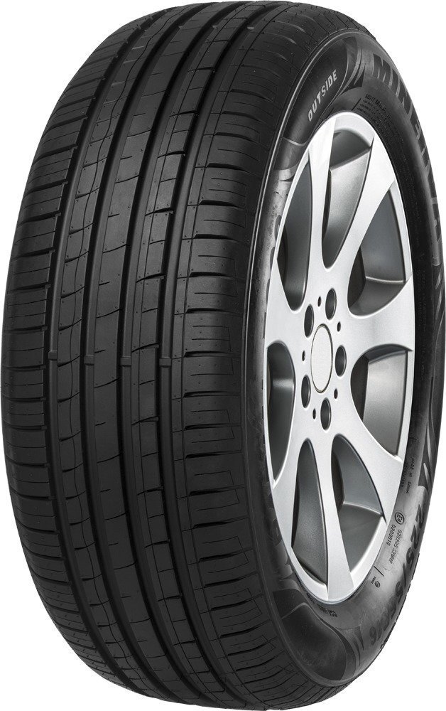 Minerva F209 195/55R16 91 V XL цена и информация | Suverehvid | kaup24.ee