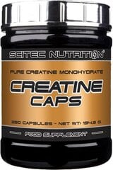 Creatine Monohydrate Scitec Nutrition, 250 Caps hind ja info | Kreatiin | kaup24.ee