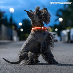 Светодиодный ошейник для домашних животных Petlux InnovaGoods цена и информация | Ошейники, подтяжки для собак | kaup24.ee