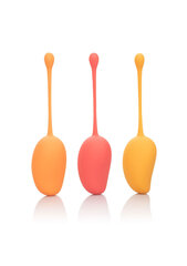 CalExotics Kegel Training Set Mango Oranž/kollane hind ja info | Vaginaalkuulid | kaup24.ee