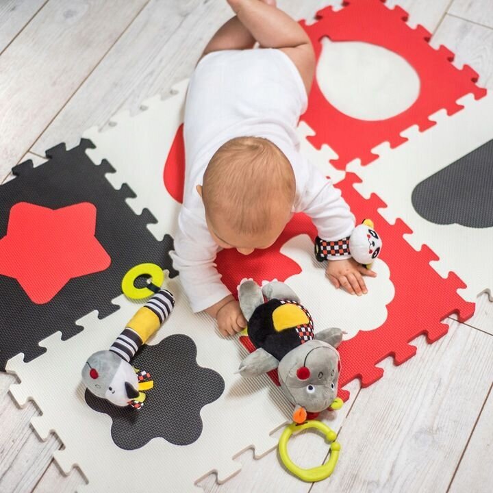 Pusle-vaip BabyOno vormid, 395/01 hind ja info | Imikute mänguasjad | kaup24.ee