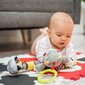 Pusle-vaip BabyOno vormid, 395/01 hind ja info | Imikute mänguasjad | kaup24.ee