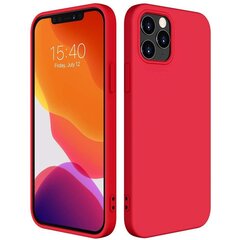 Silicone Case Soft Flexible Rubber Cover for iPhone 12 Pro Max red (Red) hind ja info | Telefoni kaaned, ümbrised | kaup24.ee