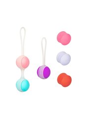 CalExotics She-ology Weighted Kegel Set Mitmevärviline hind ja info | Vaginaalkuulid | kaup24.ee