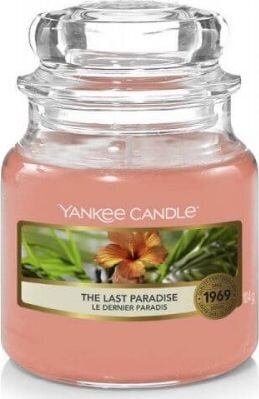Yankee Candle The Last Paradise Candle - Scented candle 104.0g hind ja info | Küünlad, küünlajalad | kaup24.ee