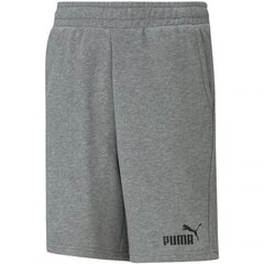 Puma laste lühikesed püksid Essentials 586972*03, hall цена и информация | Шорты для мальчиков | kaup24.ee