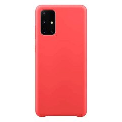 Silicone Case Soft Flexible Rubber Cover for Samsung Galaxy S21 Ultra 5G red (Red) hind ja info | Telefoni kaaned, ümbrised | kaup24.ee