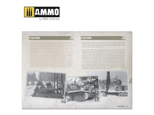 AMMO MIG - Tiger Ausf.E – VISUAL MODELERS GUIDE (MULTILINGUAL), AMIG6024 hind ja info | Liimitavad mudelid | kaup24.ee
