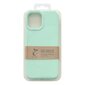 Eco Case Case for iPhone 12 Silicone Cover Phone Case Mint (Mint) hind ja info | Telefoni kaaned, ümbrised | kaup24.ee