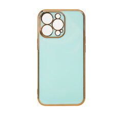 Lighting Color Case for iPhone 13 Pro Max, gel cover with a gold frame, mint (Mint) hind ja info | Telefoni kaaned, ümbrised | kaup24.ee
